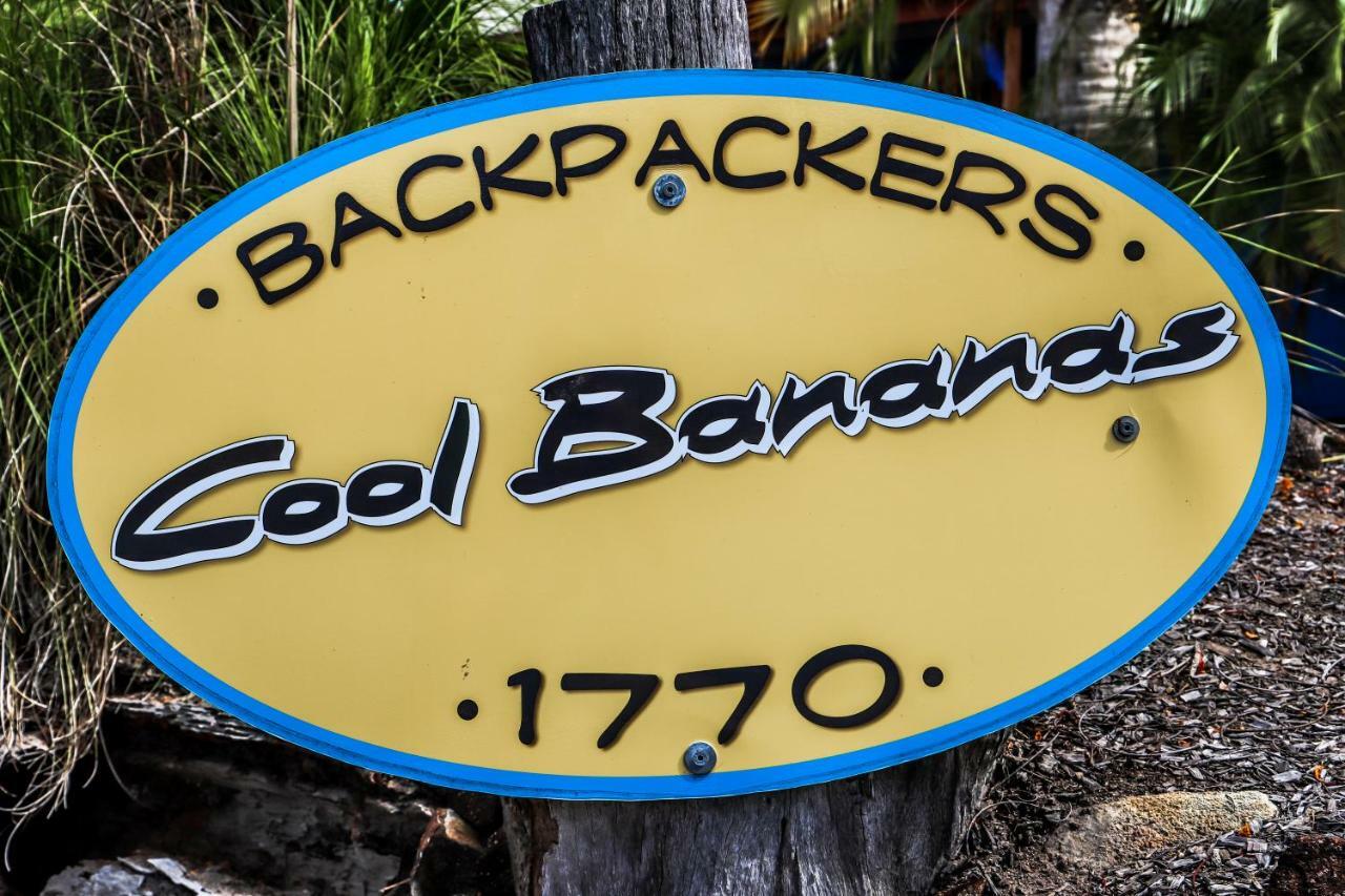 Cool Bananas Backpackers Hostel Агнес Уотър Екстериор снимка