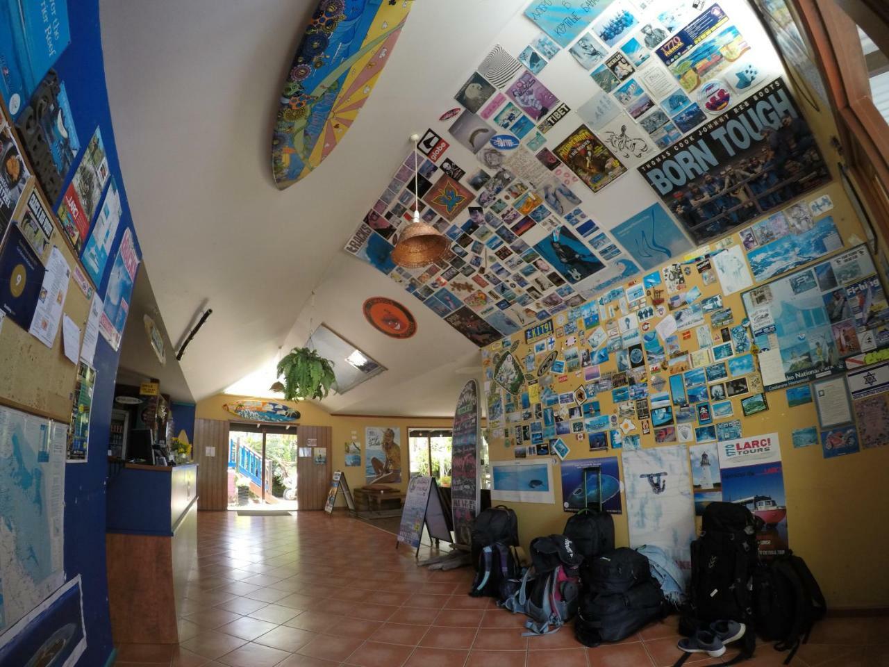 Cool Bananas Backpackers Hostel Агнес Уотър Екстериор снимка